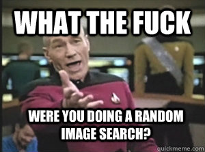 What the fuck were you doing a random image search?  Annoyed Picard
