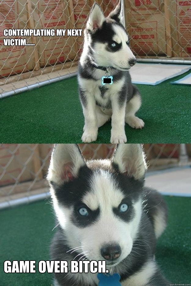 Contemplating my next 
victim...... 

Game over bitch.  Insanity puppy