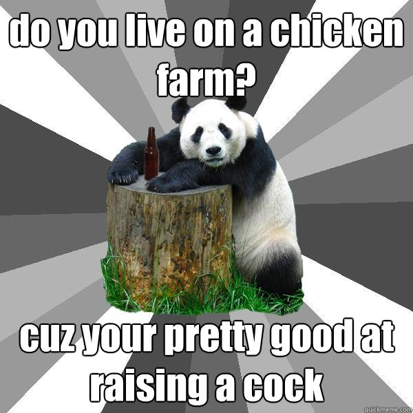 do you live on a chicken farm? cuz your pretty good at raising a cock  Pickup-Line Panda