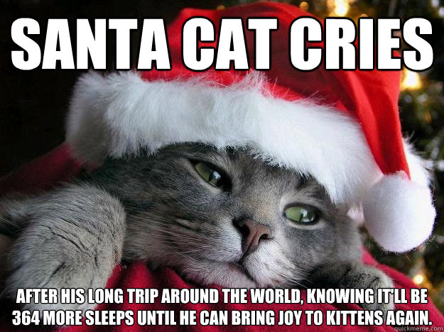 Santa cat cries after his long trip around the world, knowing it'll be 364 more sleeps until he can bring joy to kittens again.  