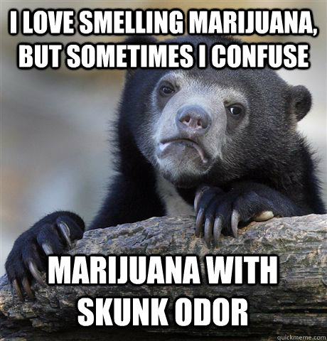 I LOVE SMELLING MARIJUANA, BUT SOMETIMES I CONFUSE  MARIJUANA WITH SKUNK ODOR   Confession Bear