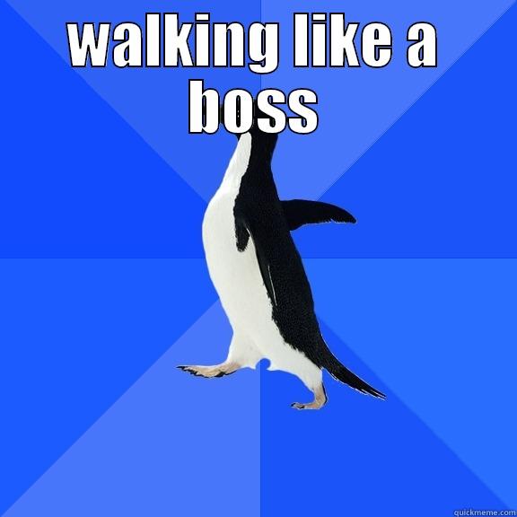 WALKING LIKE A BOSS  Socially Awkward Penguin