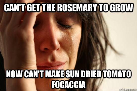 can't get the rosemary to grow now can't make Sun Dried Tomato Focaccia  First World Problems