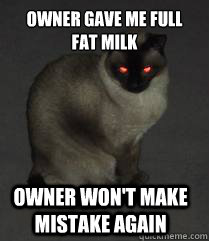 Owner gave me full fat milk owner won't make mistake again  Evil Cat