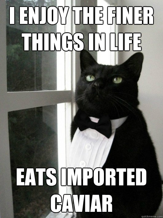 i enjoy the finer things in life eats imported caviar  - i enjoy the finer things in life eats imported caviar   Classy cat