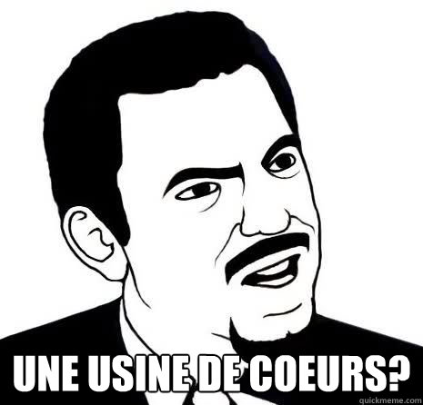  Une usine de coeurs?  Seriously Are You Serious