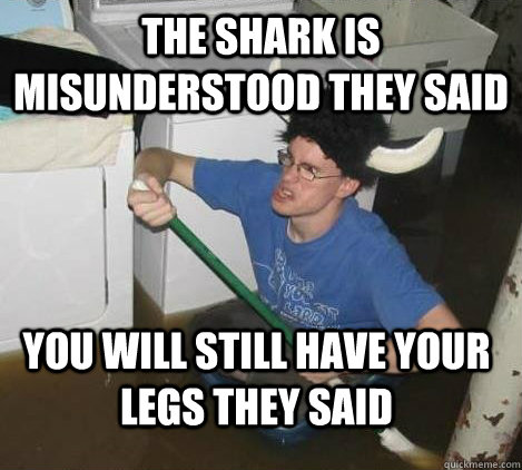 The shark is misunderstood they said you will still have your legs they said  They said