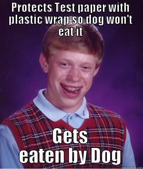 PROTECTS TEST PAPER WITH PLASTIC WRAP SO DOG WON'T EAT IT GETS EATEN BY DOG Bad Luck Brian
