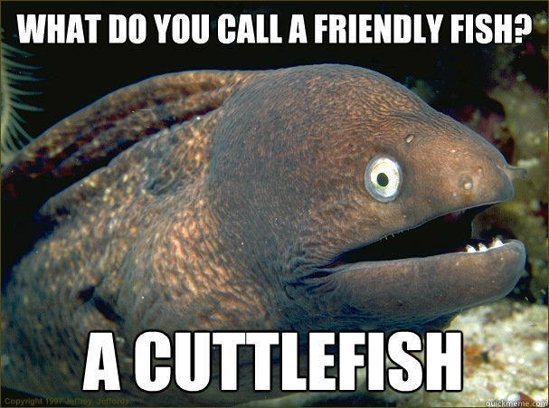 What do you call a friendly fish? A cuttlefish - What do you call a friendly fish? A cuttlefish  Bad Joke Eel