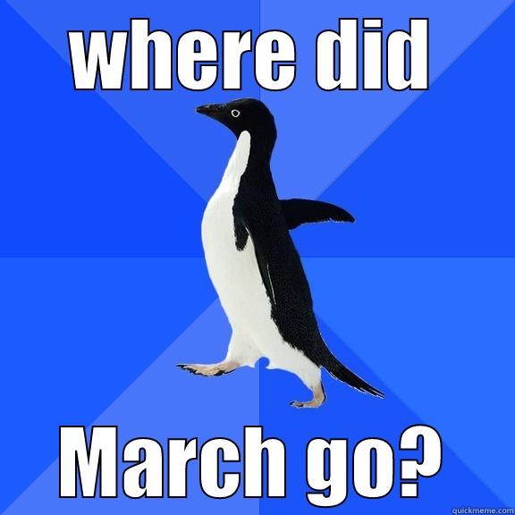 WHERE DID MARCH GO? Socially Awkward Penguin