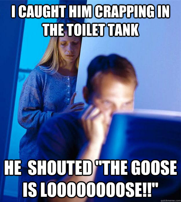 I caught him crapping in the toilet tank he  shouted 