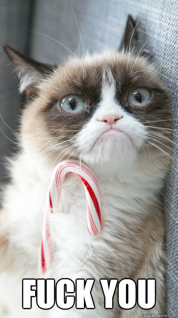  FUCK YOU -  FUCK YOU  Candy cane grumpy cat