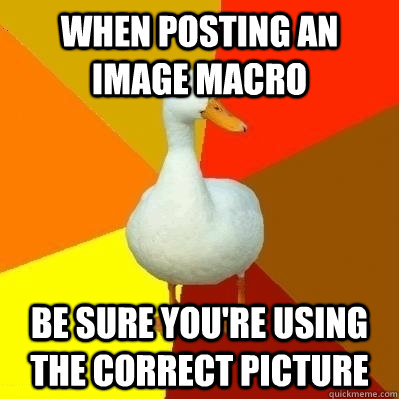 When posting an image macro be sure you're using the correct picture   Technologically Impaired Duck