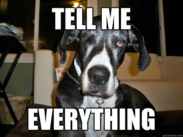 Tell me everything  Therapy dog