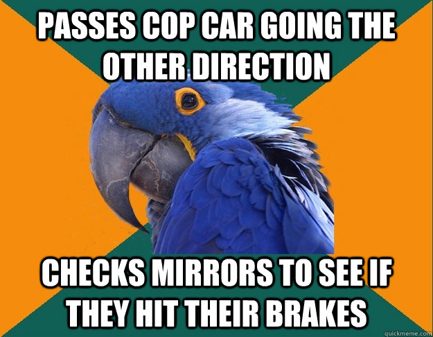 passes cop car going the other direction checks mirrors to see if they hit their brakes  Paranoid Parrot
