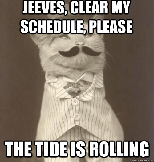 Jeeves, clear my schedule, please The Tide is rolling   Original Business Cat