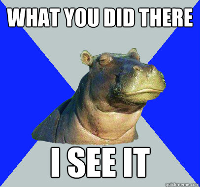 WHat you did there I see it - WHat you did there I see it  Skeptical Hippo