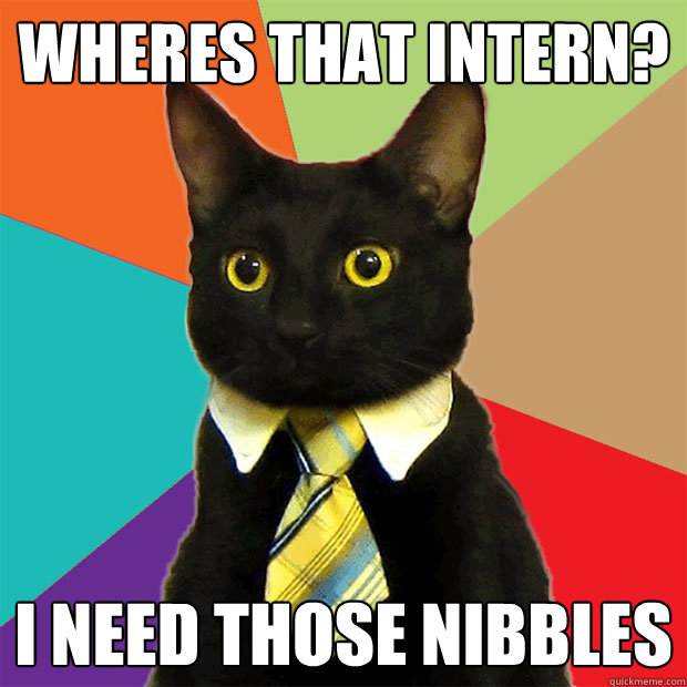 Wheres that intern? i need those nibbles  Business Cat