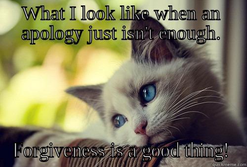 Sorry Kitty - WHAT I LOOK LIKE WHEN AN APOLOGY JUST ISN'T ENOUGH. FORGIVENESS IS A GOOD THING! First World Problems Cat