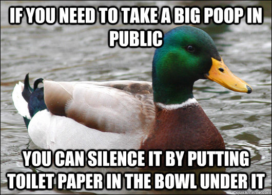 If you need to take a big poop in public you can silence it by putting toilet paper in the bowl under it  Actual Advice Mallard