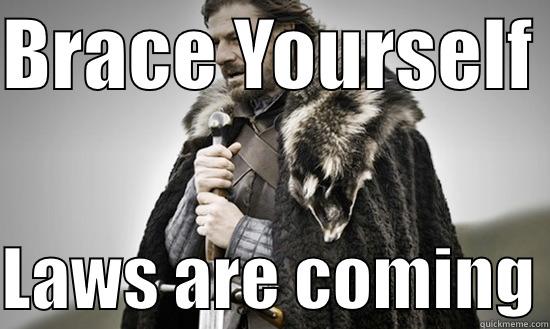 Brace yourself - BRACE YOURSELF   LAWS ARE COMING Misc