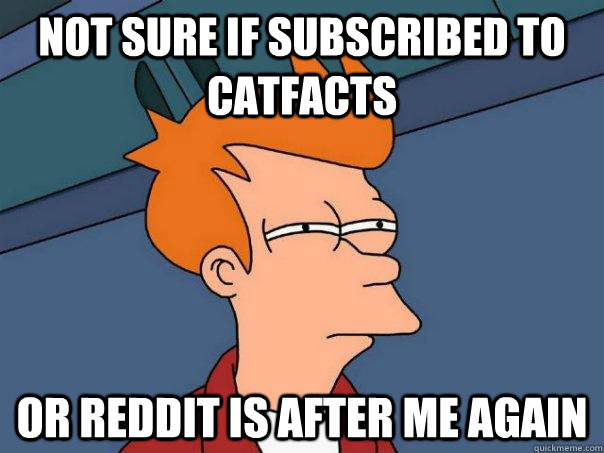 Not sure if subscribed to catfacts or reddit is after me again  Futurama Fry