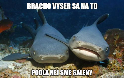 bracho vyser sa na to podla nej sme saleny   Compassionate Shark Friend
