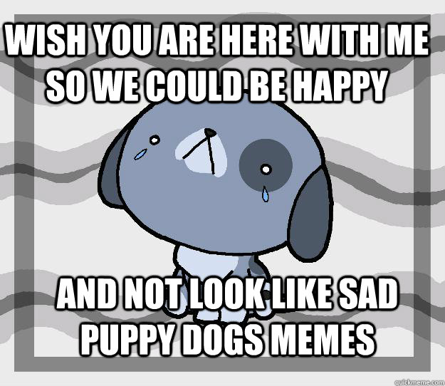 Wish you are here with me so we could be happy And not look like sad puppy dogs memes  Miss you