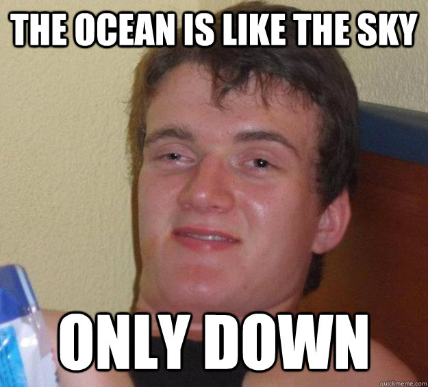 The Ocean is like the sky only down - The Ocean is like the sky only down  10 Guy