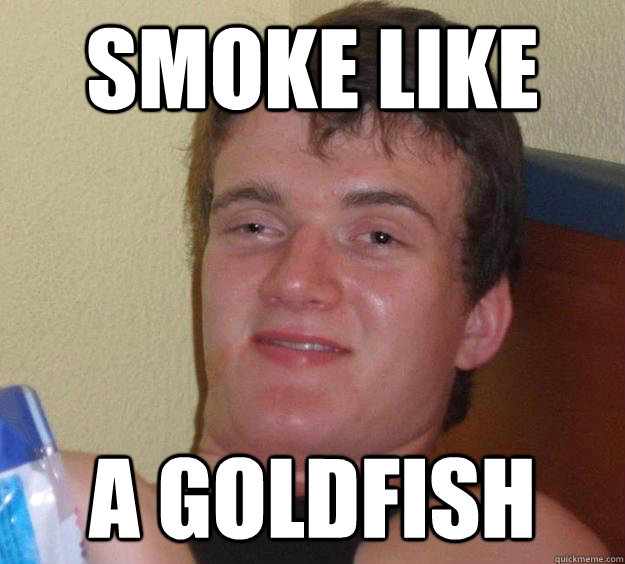 smoke like A goldfish - smoke like A goldfish  10 Guy