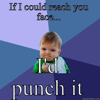 IF I COULD REACH YOU FACE... I'D PUNCH IT Success Kid