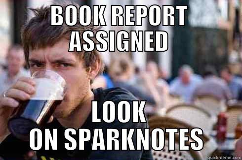 BOOK REPORT ASSIGNED LOOK ON SPARKNOTES  Lazy College Senior