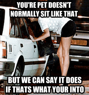 You're pet doesn't normally sit like that but we can say it does if thats what your into  Karma Whore