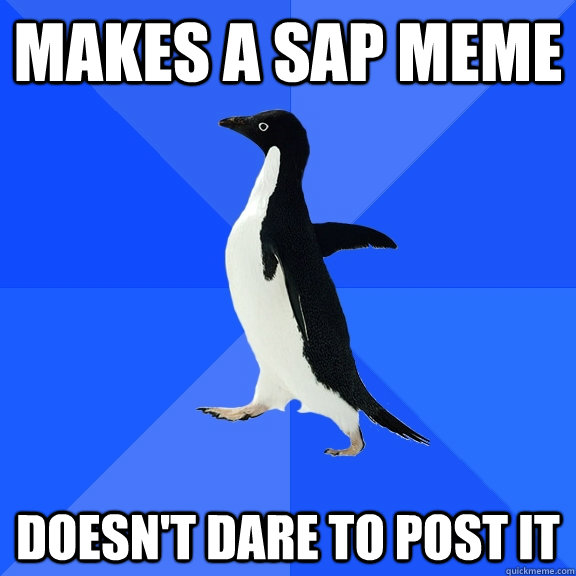 Makes a SAP Meme doesn't dare to post it  Socially Awkward Penguin