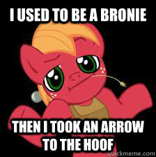 I used to be a bronie then i took an arrow to the hoof  