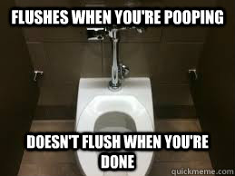 Flushes when you're pooping doesn't flush when you're done  