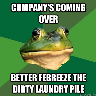 Company's coming over Better febreeze the dirty laundry pile  Foul Bachelor Frog