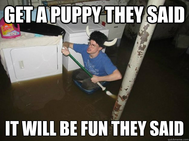 get a puppy they said it will be fun they said
  Laundry viking