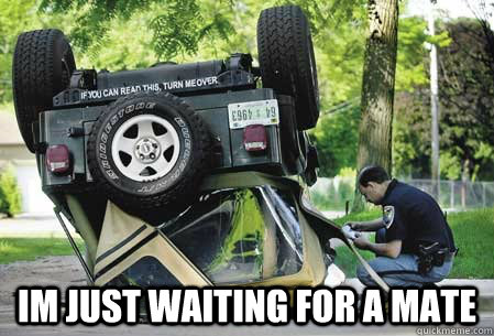  Im Just waiting for a mate  Jeep Life