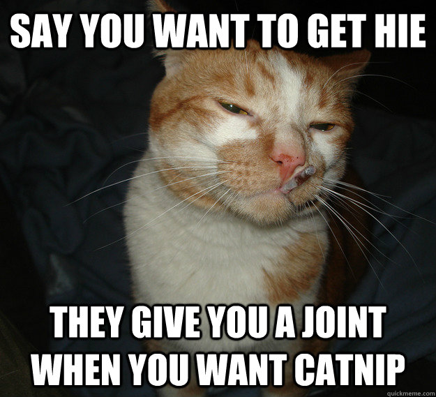 say you want to get hie they give you a joint when you want catnip  Cool Cat Craig