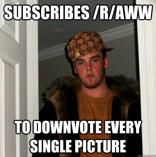 Subscribes /r/aww To downvote every single picture - Subscribes /r/aww To downvote every single picture  Scumbag Steve