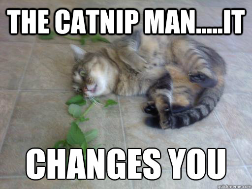 the catnip man.....it changes you - the catnip man.....it changes you  Misc