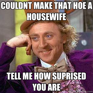COULDNT MAKE THAT HOE A HOUSEWIFE TELL ME HOW SUPRISED YOU ARE  Condescending Wonka