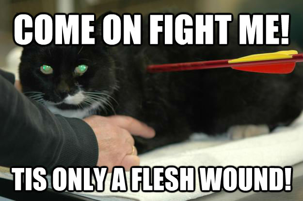 COME ON FIGHT ME! TIS ONLY A FLESH WOUND! - COME ON FIGHT ME! TIS ONLY A FLESH WOUND!  untitled meme