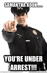 Samantha Kook...... You're Under Arrest!!!  Accused of being too sexy
