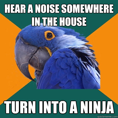 hear a noise somewhere in the house turn into a ninja  Paranoid Parrot