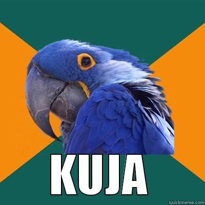  KUJA Paranoid Parrot