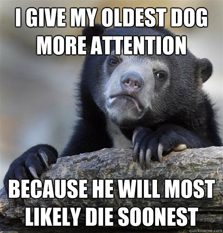 I give my oldest dog more attention because he will most likely die soonest  Confession Bear