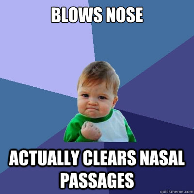 blows nose actually clears nasal passages  Success Kid