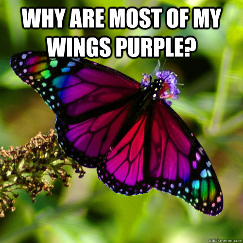 why are most of my wings purple?   